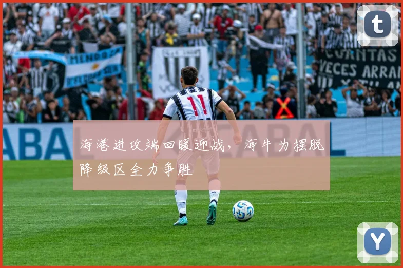 海港进攻端回暖迎战，海牛为摆脱降级区全力争胜